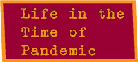 Life-Time-Pandemic "Life in the Time of Pandemic"